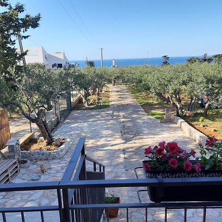 Villa L'Orizzonte Di Calabianca Кастелламмаре-дель-Гольфо Екстер'єр фото