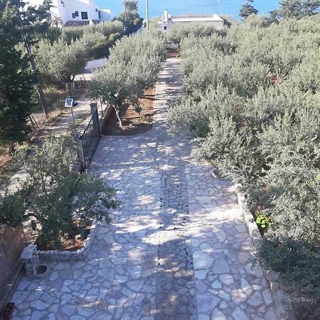 Villa L'Orizzonte Di Calabianca Кастелламмаре-дель-Гольфо Екстер'єр фото