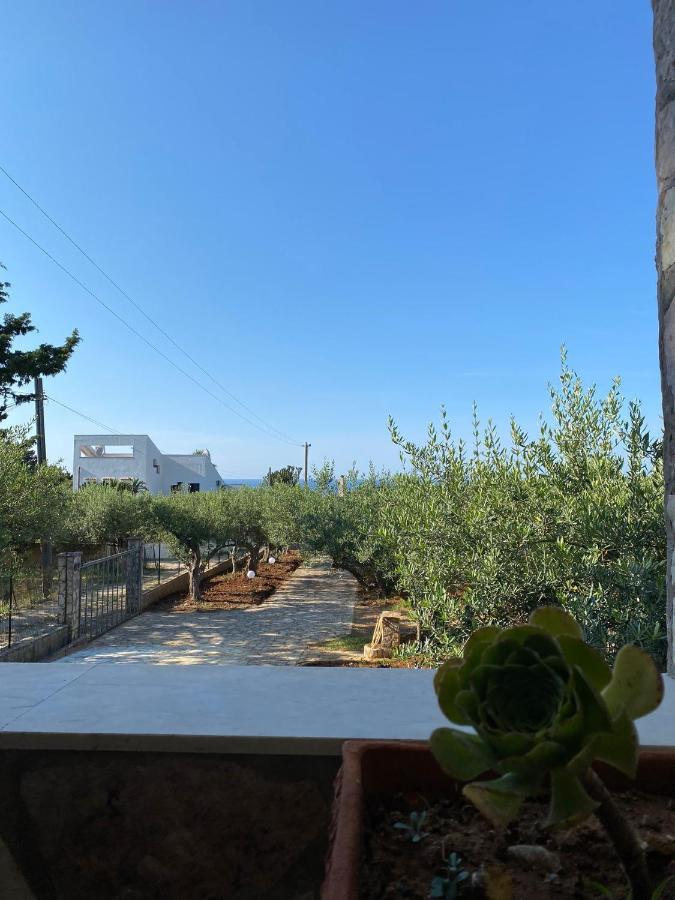 Villa L'Orizzonte Di Calabianca Кастелламмаре-дель-Гольфо Екстер'єр фото