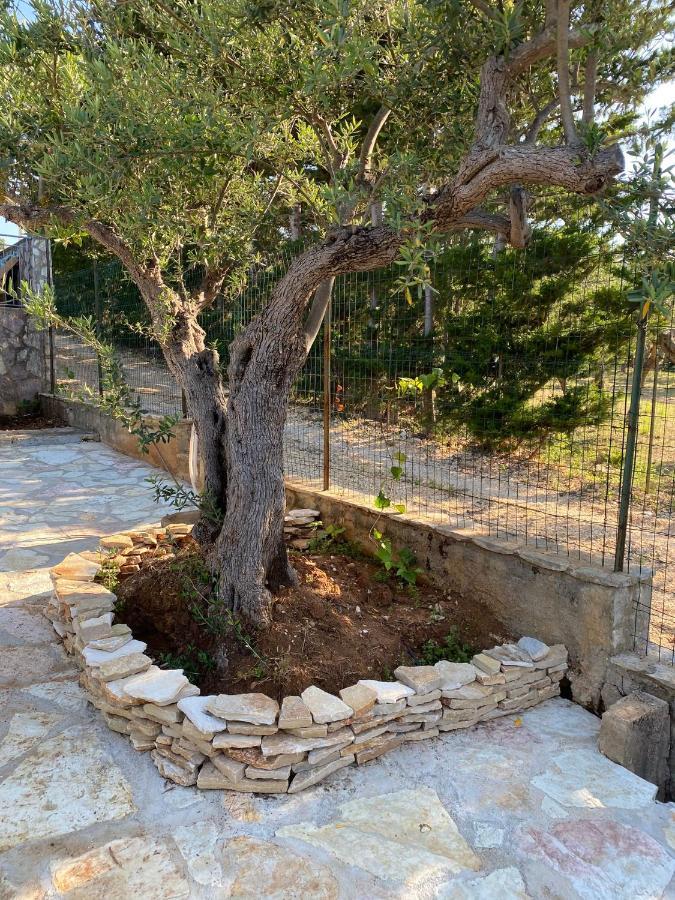 Villa L'Orizzonte Di Calabianca Кастелламмаре-дель-Гольфо Екстер'єр фото