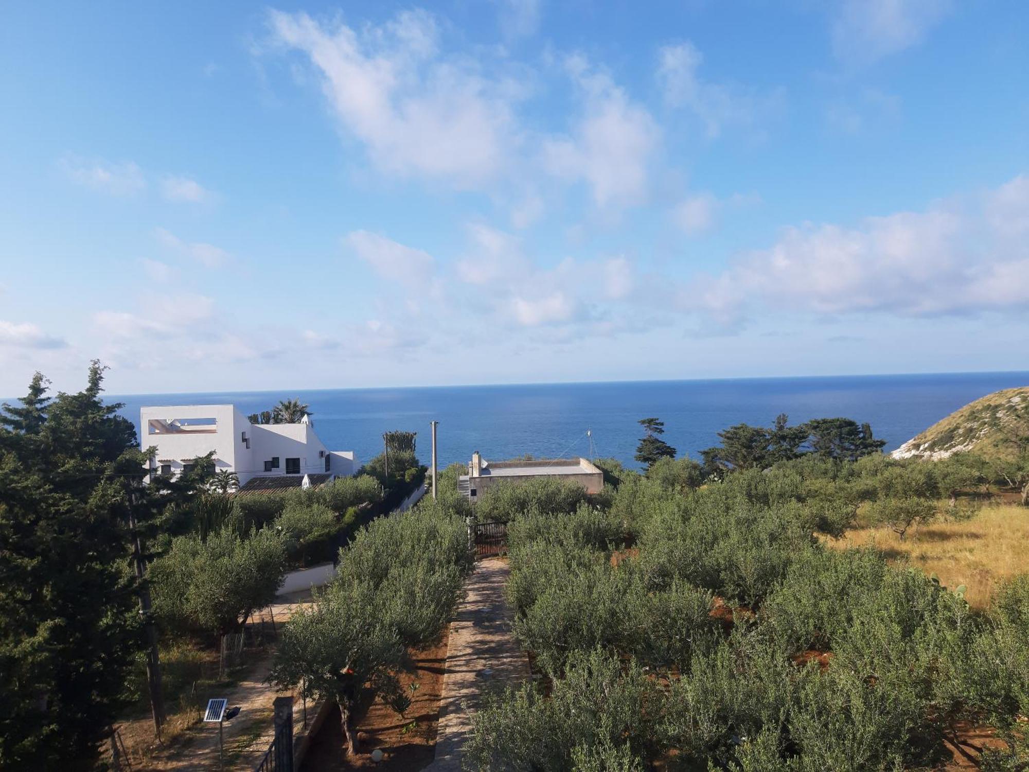 Villa L'Orizzonte Di Calabianca Кастелламмаре-дель-Гольфо Екстер'єр фото