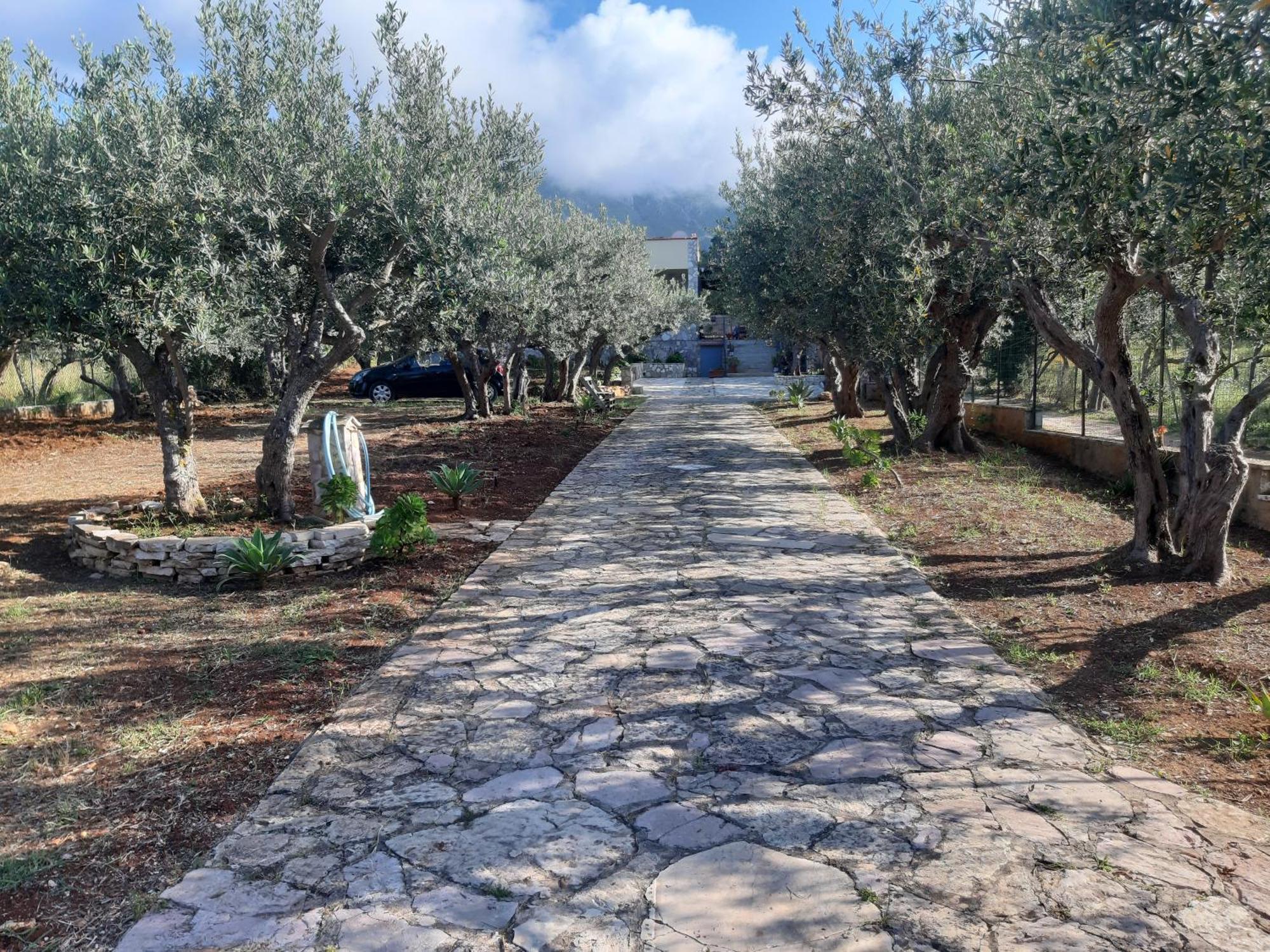 Villa L'Orizzonte Di Calabianca Кастелламмаре-дель-Гольфо Екстер'єр фото