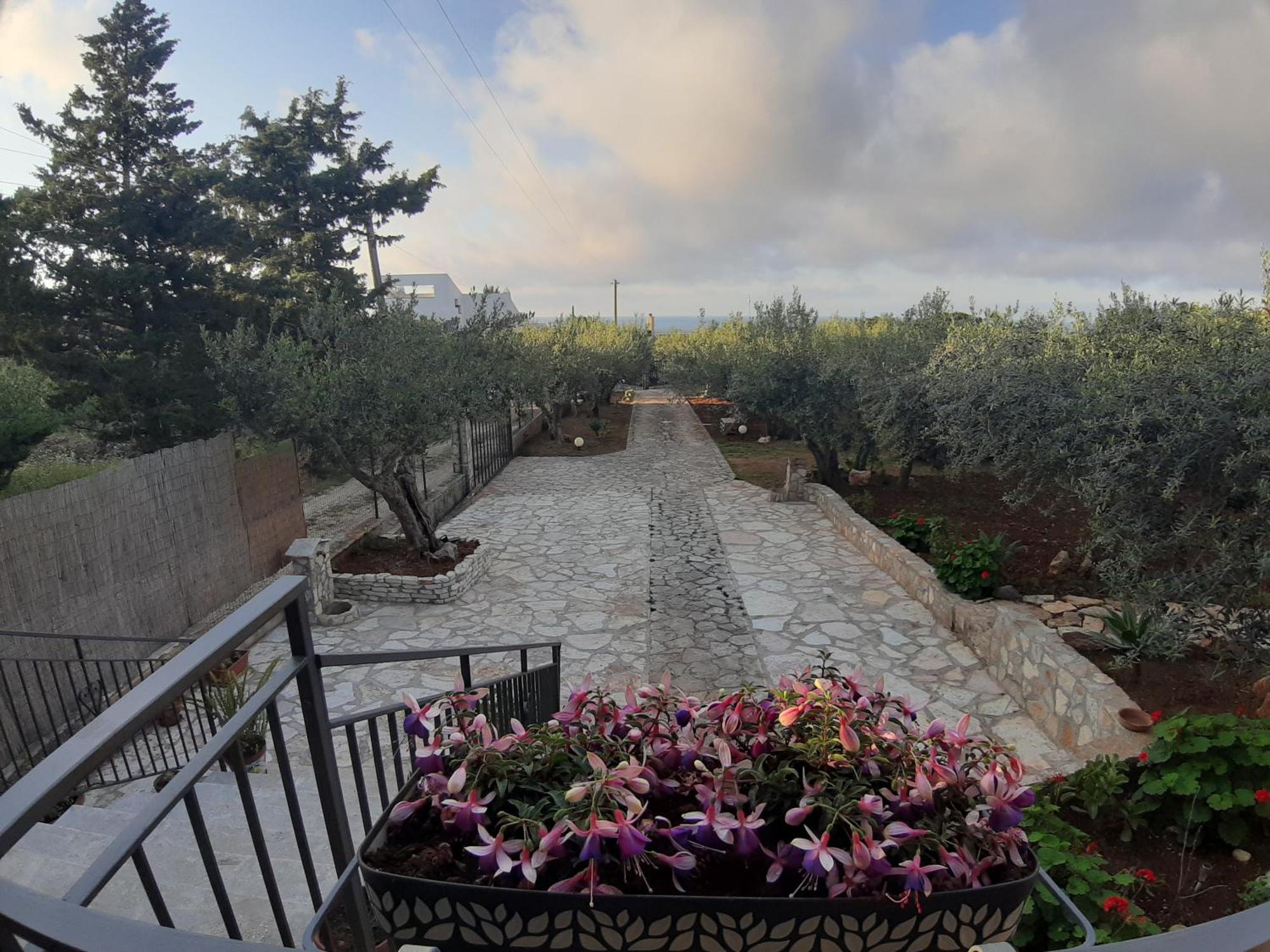 Villa L'Orizzonte Di Calabianca Кастелламмаре-дель-Гольфо Екстер'єр фото