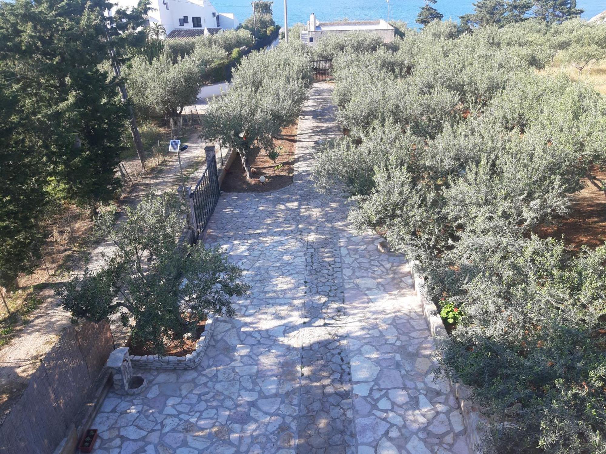Villa L'Orizzonte Di Calabianca Кастелламмаре-дель-Гольфо Екстер'єр фото